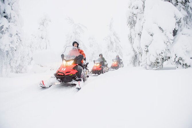 Snowmobile Adventure in Lapland - Navigating the Arctic Wilderness on Snowmobiles