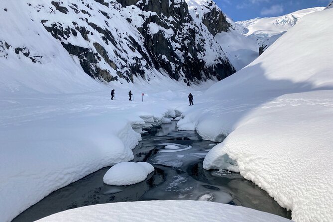Snowmobile and Snowshoe Dual Adventure in Kenai Fjords NP - Guided by Local Experts