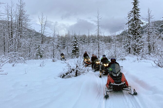 Snowmobile and Snowshoe Dual Adventure in Kenai Fjords NP - Pricing, Booking, and Cancellation Policy