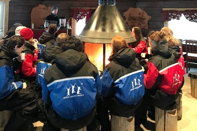 Snowmobile & Animals Day Tour - Husky Sled Ride: Excitement with Friendly Dogs