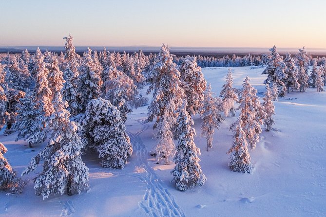 Snowmobile Driving - Morning start - Who Will Most Enjoy This Snowmobile Tour?