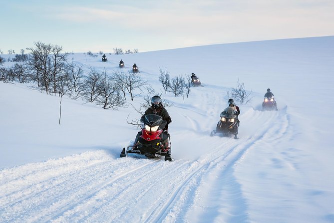 Snowmobile safari in the mountain plateau of Finnmarksvidda - Key Points