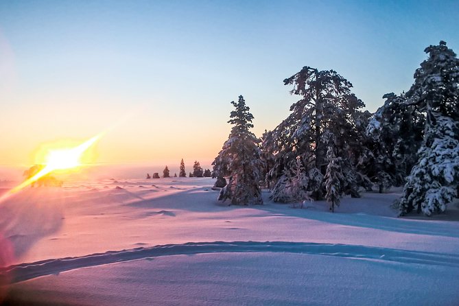 Snowmobile Safari in the Nature - Scenic Routes and Unique Stops