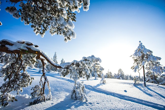 Snowmobile Safari on the Tundra - The Route and Stops: What You Can Expect