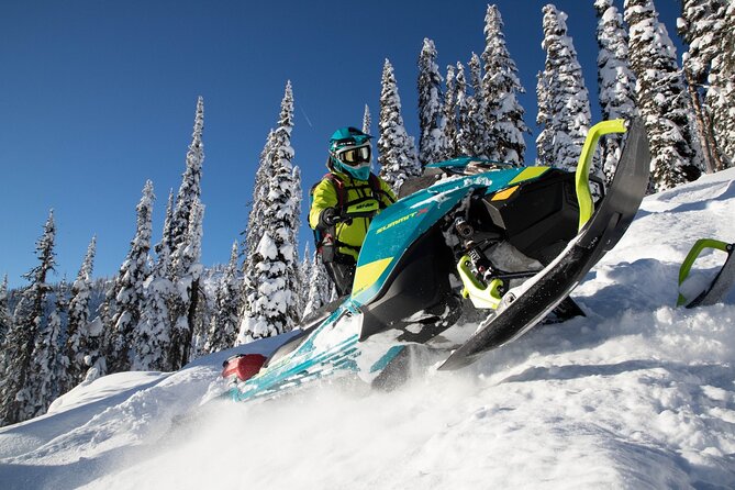 Snowmobile Safari through Lappish Forest from Rovaniemi - Rovaniemi Snowmobile Safari: A Thrilling Arctic Adventure