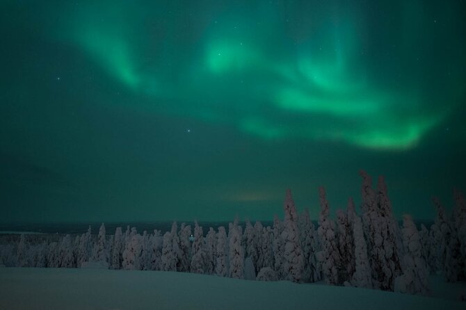 Snowmobile Safari to Search for the Northern Lights - The Route Through Finnish Wilderness