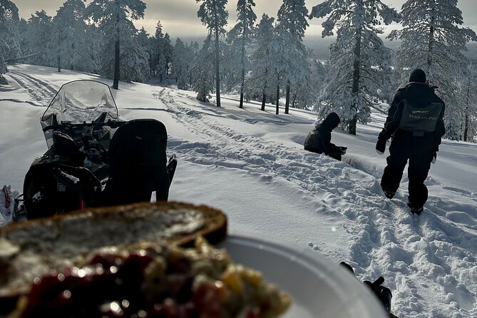 Snowmobile Safari to the Wilderness - Exciting Arctic Adventure with Snowmobile Safari to the Wilderness