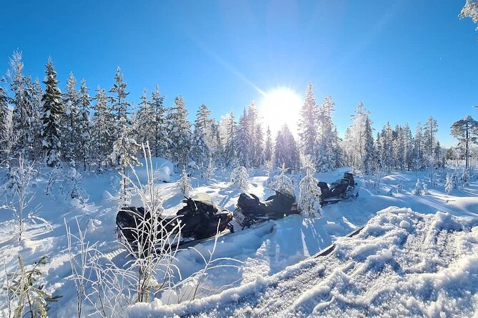 Snowmobile tour - Wildlife Watching and Scenic Vistas