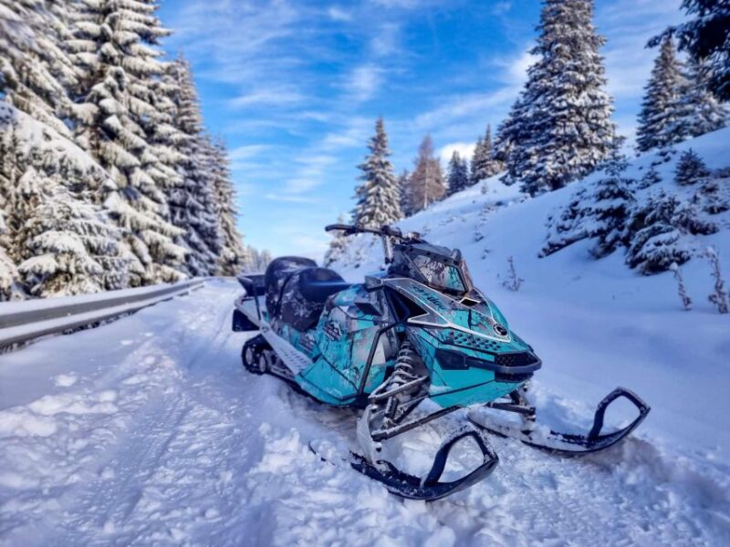 Snowmobile Tour In Bucegi Mountains - Key Points