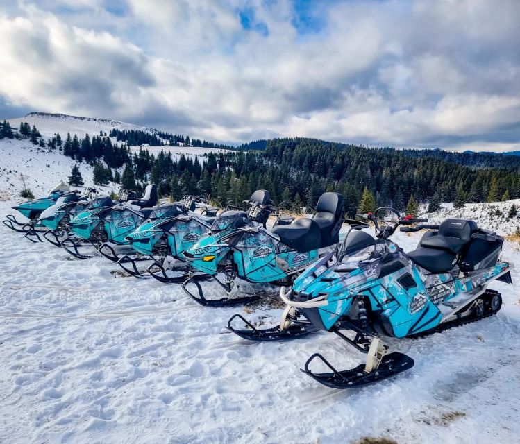 Snowmobile Tour In Bucegi Mountains - Discover the Scenic Path to Valea Soarelui
