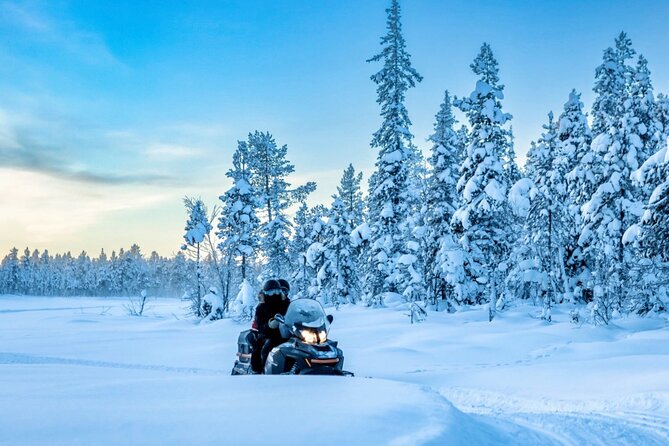 Snowmobile Tour with Small Group in Remote Wilderness 3 Hours - An Authentic Arctic Adventure in Remote Finland