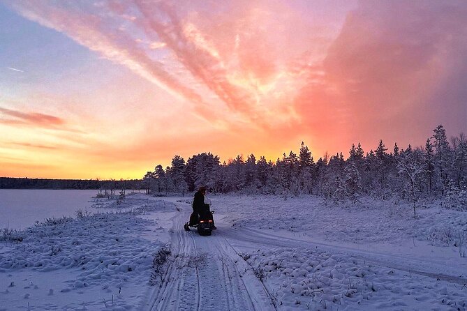 Snowmobile Tour with Small Group in Remote Wilderness 3 Hours - Access to Untouched Wilderness Away from Tourist Trails