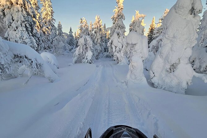 Snowmobile Tour with Small Group in Remote Wilderness 3 Hours - The Practical Details: What’s Included and How to Prepare