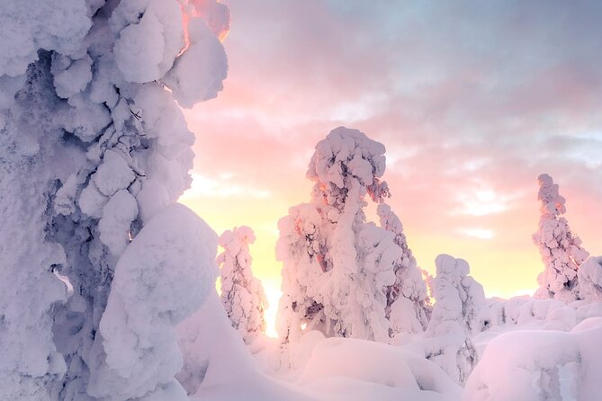 Snowmobile Tours in Rovaniemi Lapland - Exciting Snowmobiling in Rovaniemi with Small Groups and Warm Gear