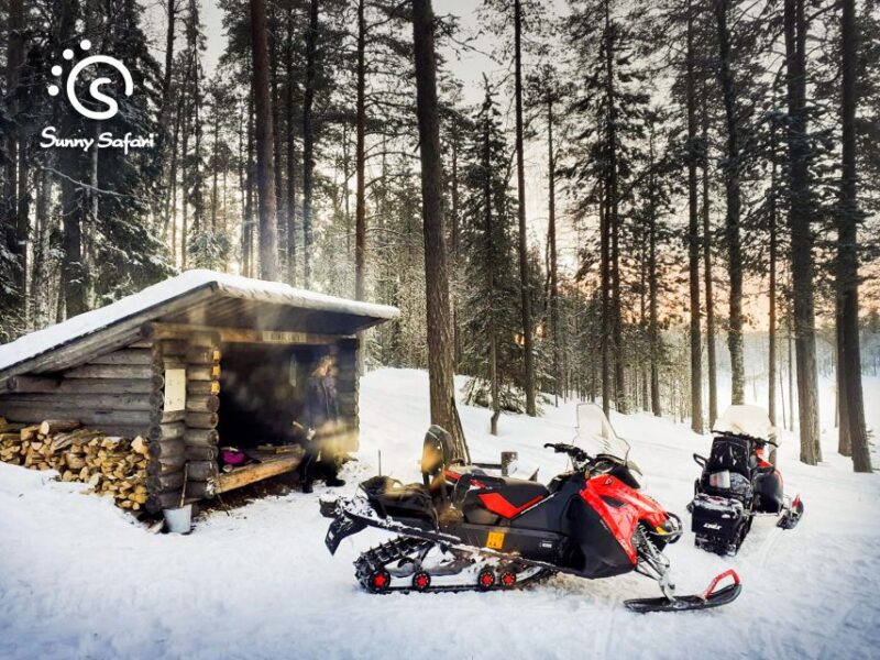 Snowmobile Whole Day Adventure - Small Group - Navigating the Arctic Landscape on Snowmobiles