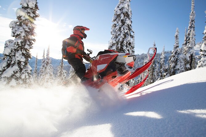 Snowmobiles and Huskies - Exciting Snowmobile and Husky Farm Tour in Rovaniemi for an Authentic Arctic Experience