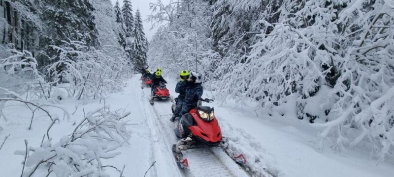 SnowMobiles Tour in Carpathian Mountains - Visiting Peles Castle: A Glimpse into Romanian Heritage