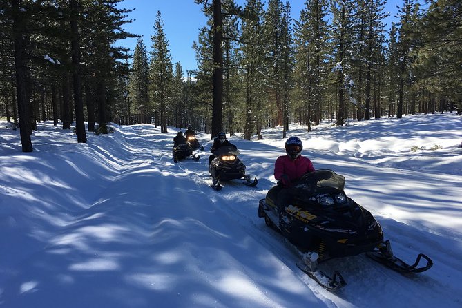 Snowmobiling Packages in the Sierra's from Reno, Nevada - The Experience of Snowmobiling with Expert Guides