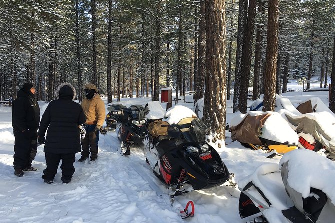 Snowmobiling Packages in the Sierra's from Reno, Nevada - Timing, Pacing, and Group Size