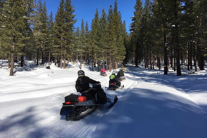 Snowmobiling Packages in the Sierra's from Reno, Nevada - Physical Requirements and Weather Considerations