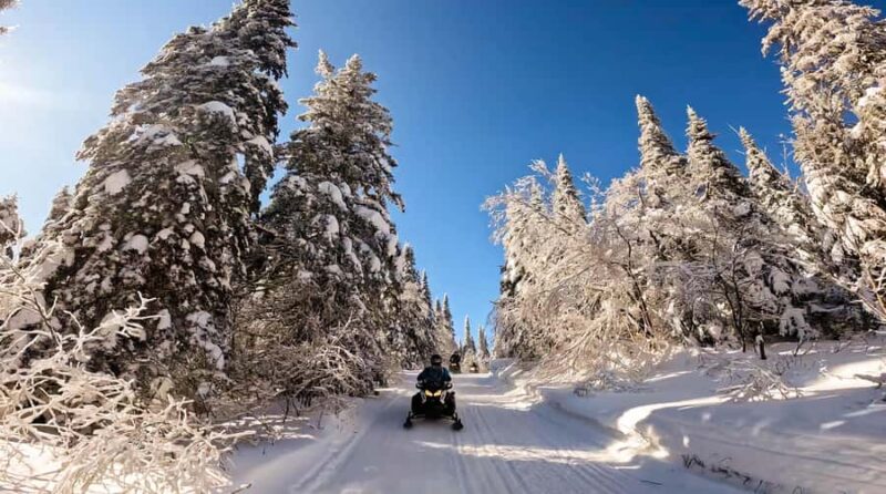 Snowmobiling Upper Laurentians 2hrs near Mont-Tremblant - Discover the Forest Trails of the Upper Laurentians on a 2-Hour Snowmobile Tour