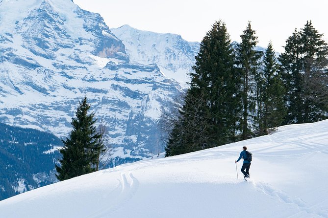 Snowshoe Adventure in the Swiss Alps - Key Points