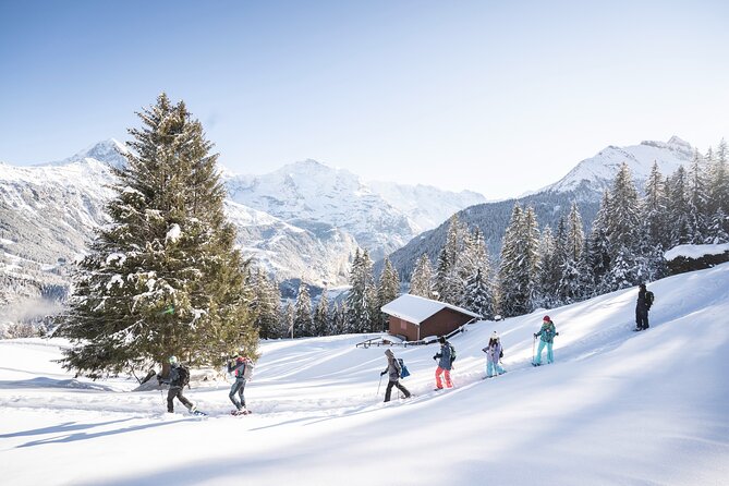 Snowshoe Adventure in the Swiss Alps - The Route: Snowy Forests and Mountain Villages