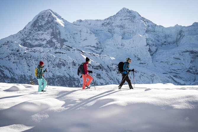 Snowshoe Adventure in the Swiss Alps - Physical Requirements and Accessibility