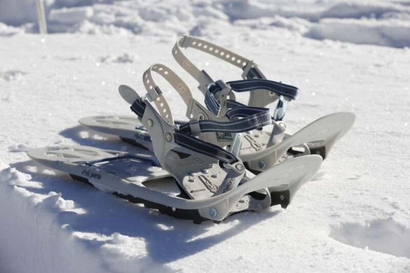 Snowshoe hike in Berchtesgadener Land - Who Should Consider This Tour