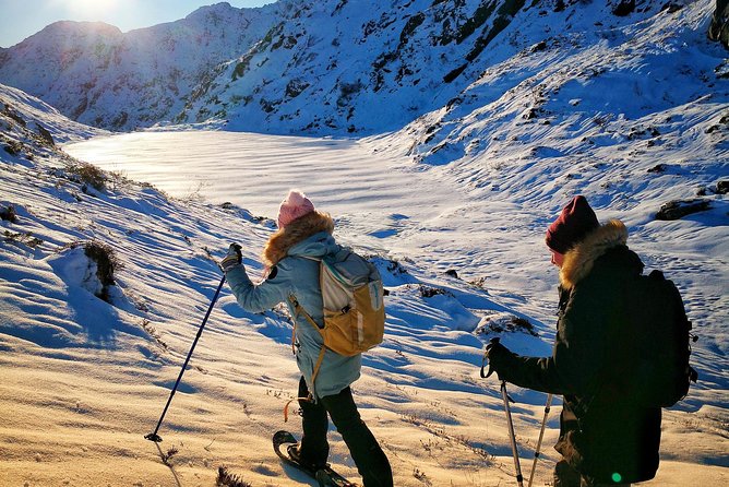 Snowshoe hiking Bergen Public - Norway Mountain Guides - What Sets This Tour Apart in Bergen