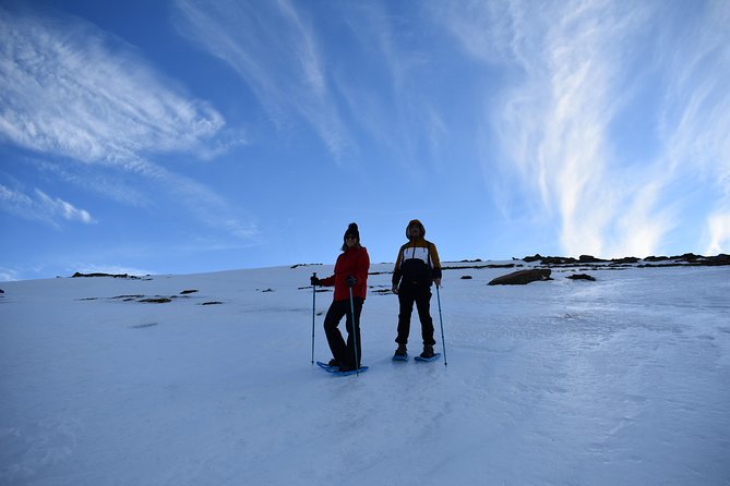 Snowshoe hiking in Sierra Nevada (Granada) - Discover Snowshoe Hiking in Sierra Nevada with Expert Guides and Scenic Views