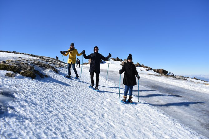 Snowshoe hiking in Sierra Nevada (Granada) - The Role of Julio, the Guide
