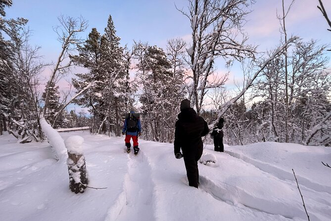 Snowshoe in a Winter Forest - Explore the Winter Forest with Guided Snowshoeing from Kiruna