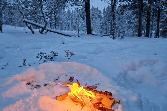Snowshoe in a Winter Forest - The Scenic Beauty of Swedish Lapland in Winter