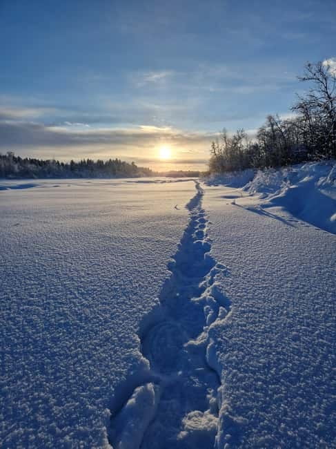 Snowshoe in a Winter Forest - Snowshoe in a Winter Forest: A Cozy Arctic Adventure in Kiruna