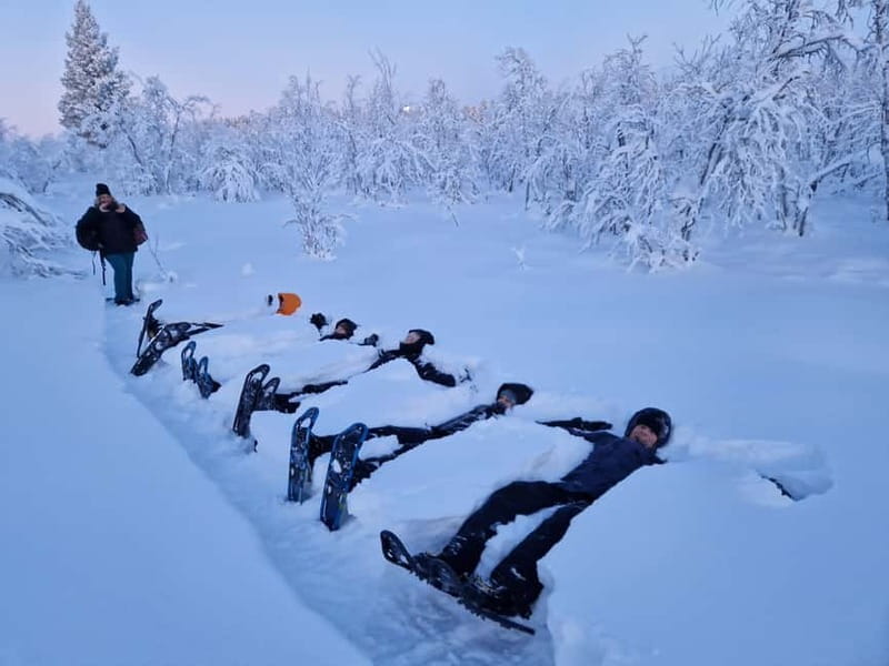 Snowshoe in a Winter Forest - Pickup and Drop-off in Kiruna