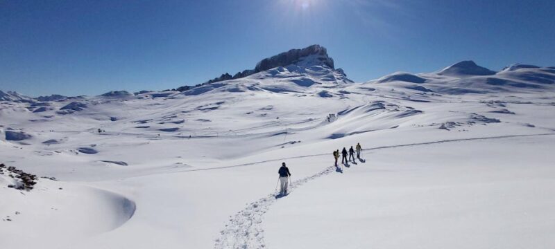 Snowshoe tour Ifen/Gottesacker Allgäu Kleinwalsertal - Weather Conditions and Alternative Options