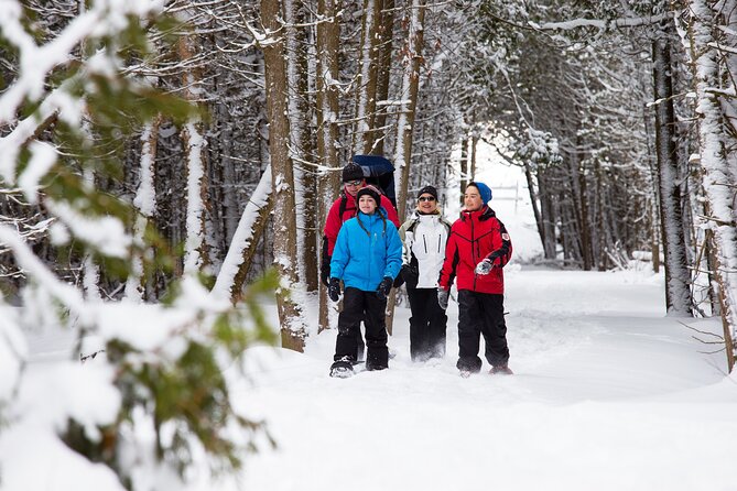 Snowshoe Tour in the Lake Tahoe Mountains - The Experience Stops at Scenic Views and Natural Highlights