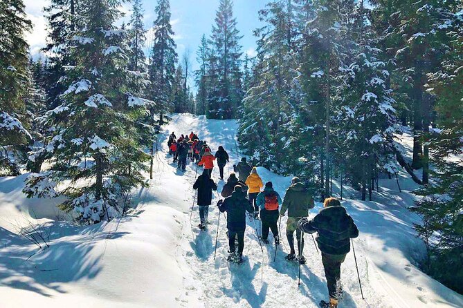 Snowshoe tour in Winter Wonderland - Oslo - Equipment and Comfort: What’s Included