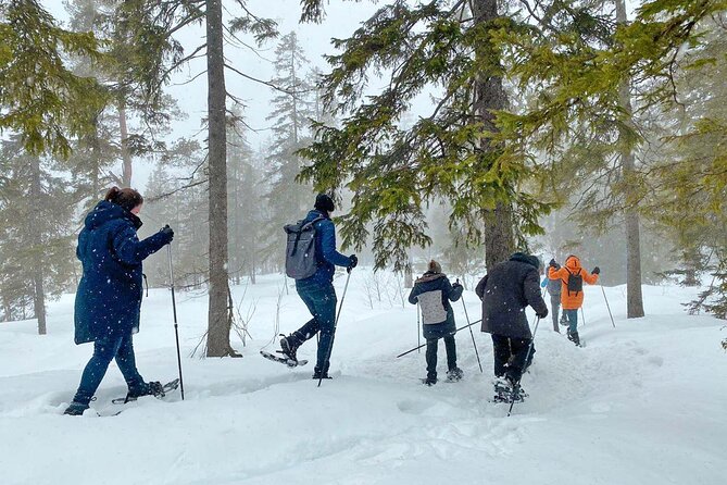 Snowshoe tour in Winter Wonderland - Oslo - Physical Fitness and Accessibility