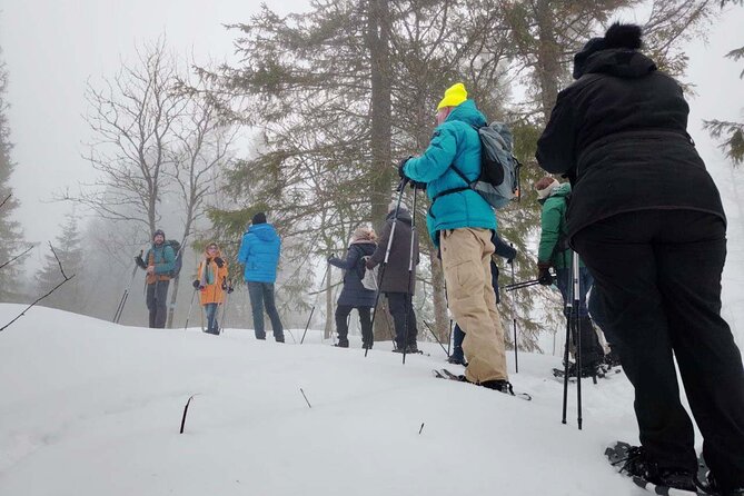 Snowshoe tour in Winter Wonderland - Oslo - Customer Praise for the Snowshoe Tour