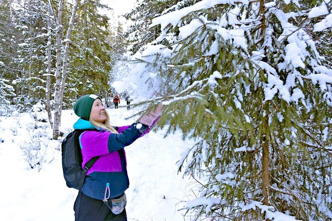 Snowshoe tour in Winter Wonderland - Oslo - The Sum Up: A Scenic and Educational Winter Adventure in Oslo