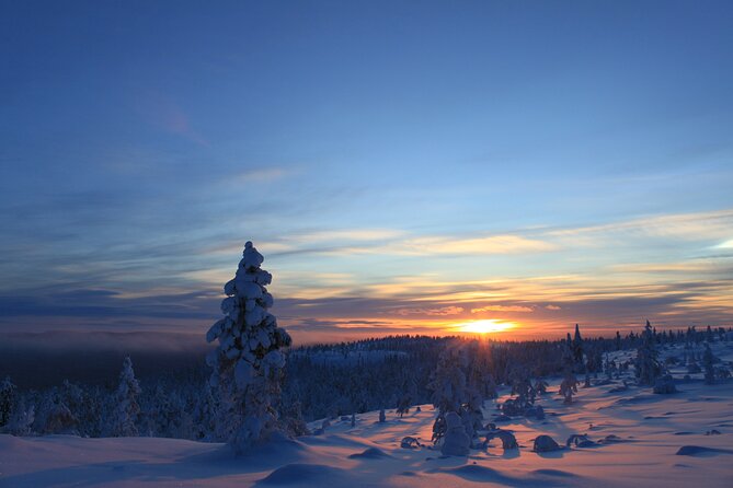 Snowshoe up a Mountain - Discover the Snowshoe Up a Mountain Tour in Kiruna, Sweden