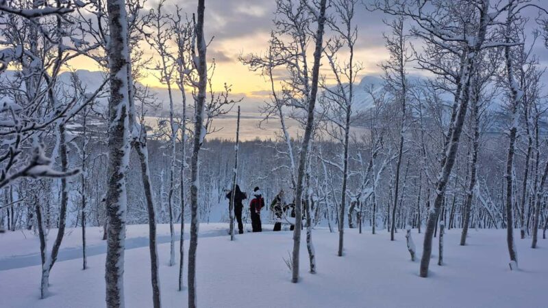 Snowshoe walk and intimate discovery of the Lofoten in French - Key Points