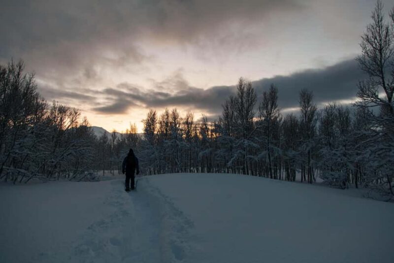 Snowshoe walk and intimate discovery of the Lofoten in French - Starting Point and Meeting Logistics in Nordland