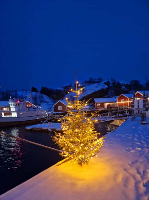 Snowshoe walk and intimate discovery of the Lofoten in French - The Snowshoe Hike Through Lofotens Winter Beauty