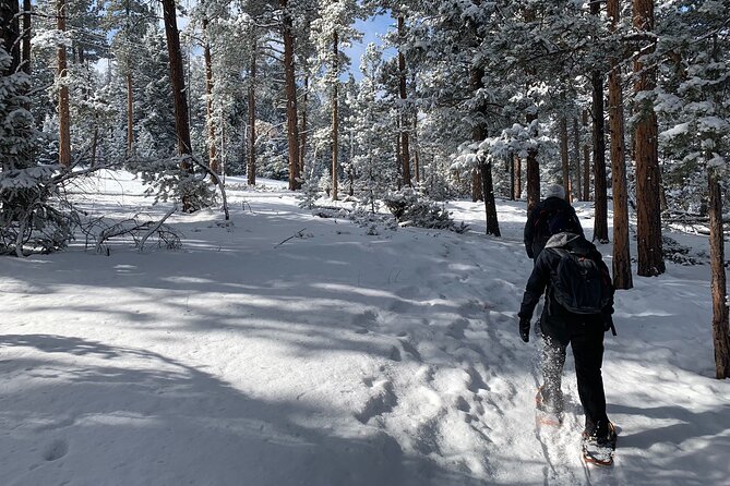 Snowshoeing Adventure in the Rocky Mountains Close to Denver - Scenic Highlights of the Rockies and Front Range Views