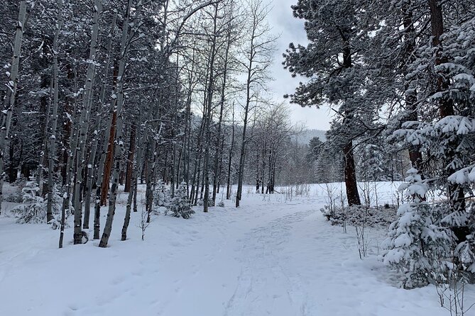 Snowshoeing Adventure in the Rocky Mountains Close to Denver - Flexibility and Cancellations