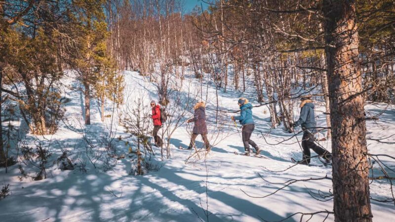 Snowshoeing Adventure to the Enchanting Frozen Waterfall - Flexibility and Booking Options for Planning Your Trip