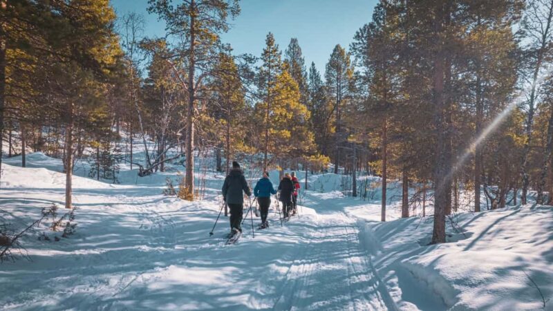Snowshoeing Adventure to the Enchanting Frozen Waterfall - Who Will Appreciate This Snowshoe Adventure?